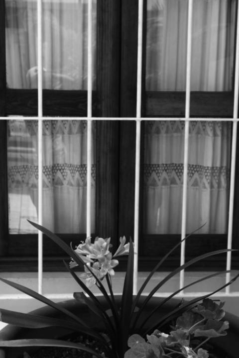Hotel Niut-ja 2*